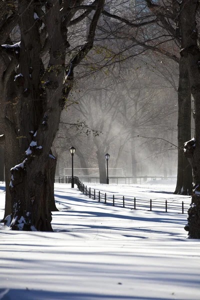 Central park, new york. prachtig park in de prachtige stad. — Stockfoto