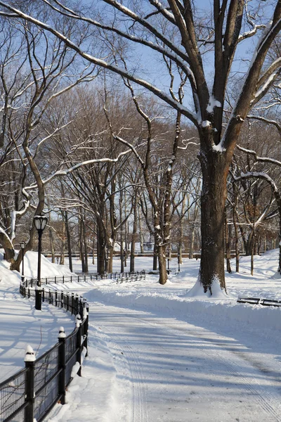 中央公园，纽约。美丽的公园，在美丽的城市. — 图库照片