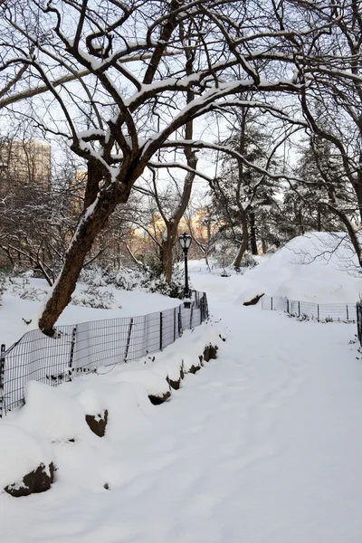 Central Park, Nueva York. Hermoso parque en la hermosa ciudad . — Foto de Stock