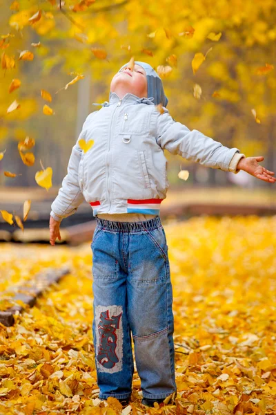 Kleiner Junge in den gelben Blättern — Stockfoto