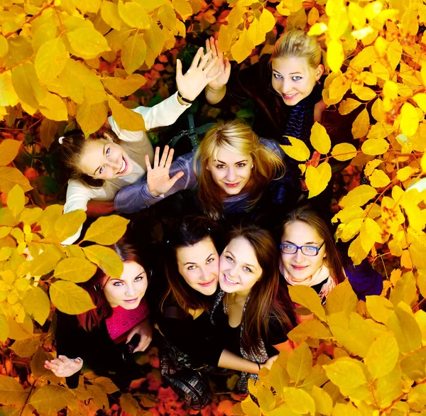 Many young girls in the autumn park — Stock Photo, Image