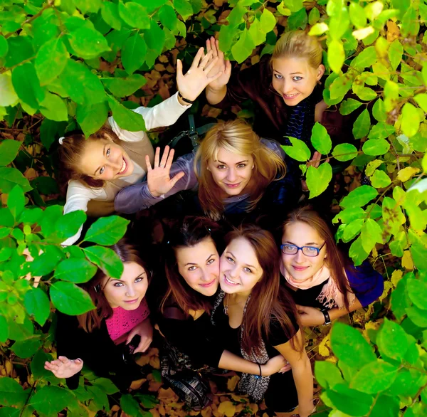 Veel jonge meisjes in het park — Stockfoto