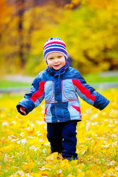 Kleine jongen in het herfstpark — Stockfoto