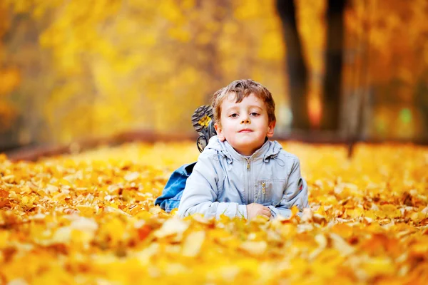 Kisfiú feküdt a sárga levelek — Stock Fotó
