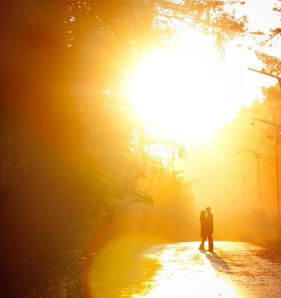 接吻情侣在阳光下的美丽镜头 — 图库照片