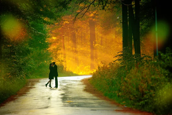 Schöne Aufnahme Von Küssendem Paar Sonnenlicht — Stockfoto
