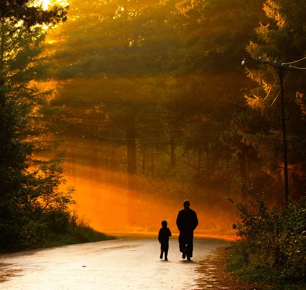 父亲和儿子走在阳光下 图库图片