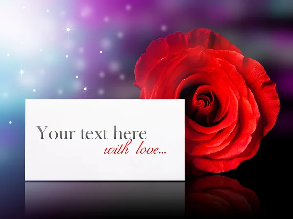 Notice with rose — Stock Photo, Image