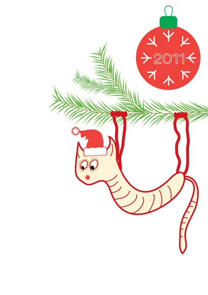 Karácsonyi macska — Stock Fotó