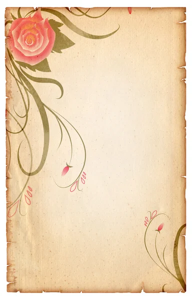 Цветочный винтагель фон. Старый бумажный свиток с розовой розой — стоковое фото