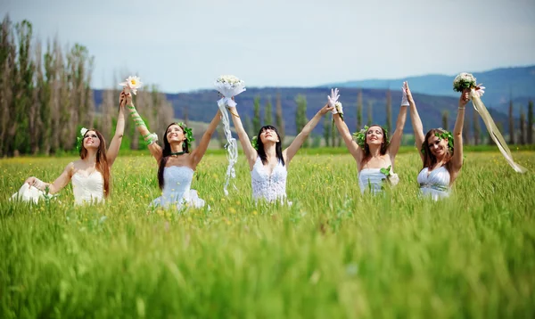 Stock image Brides