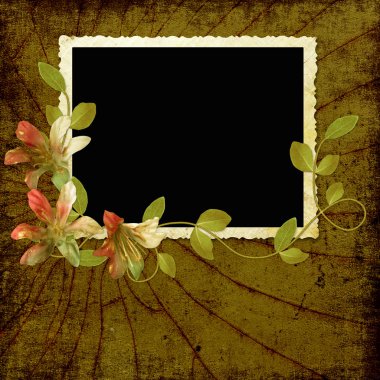 Fotoğraf ya da tebrik çerçevesi