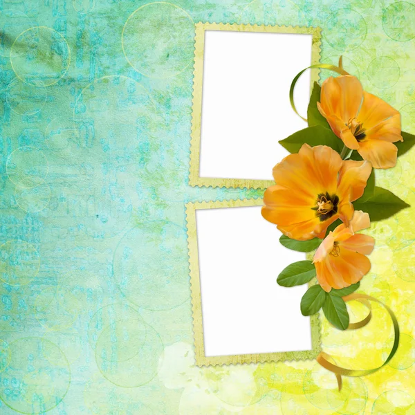 골자와 꽃으로 뒤덮인 — 스톡 사진