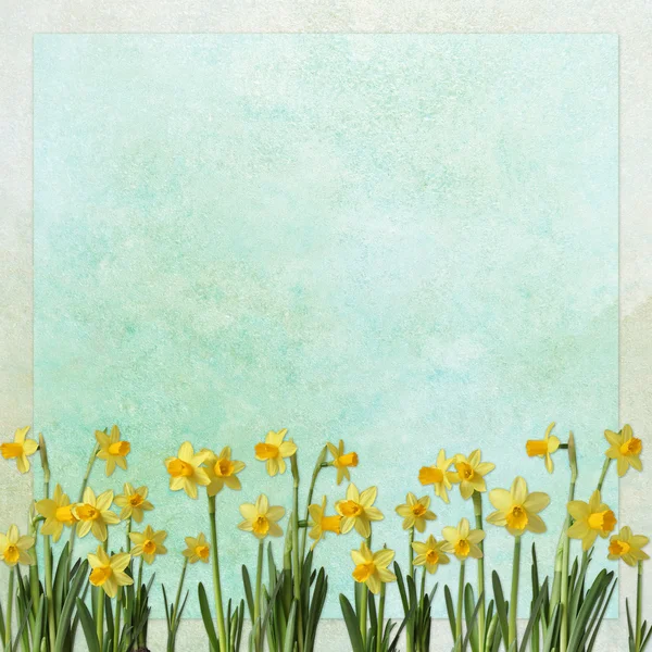 Fundal de primăvară cu flori — Fotografie, imagine de stoc