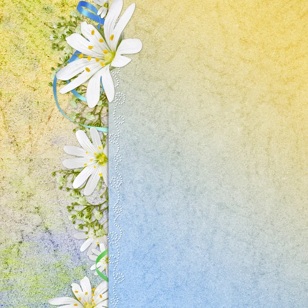 Voorjaar achtergrond met bloemen — Stockfoto