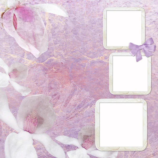 Spring background with frame and flowers — Stock Photo, Image