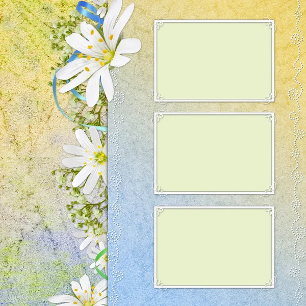 Spring background with flowers and frame — Stock Photo, Image