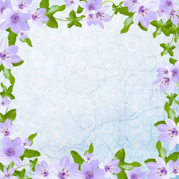 Tarjeta de felicitación floral con lugar para su texto . —  Fotos de Stock