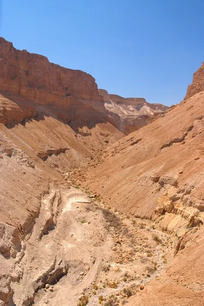 Desert valley landscape — Stock Photo, Image