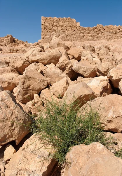 Rovine dell'antica torre sulla collina nel deserto — Foto Stock