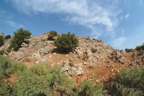 Yeşil çalılar ile yuvarlak kayalık tepe — Stok fotoğraf