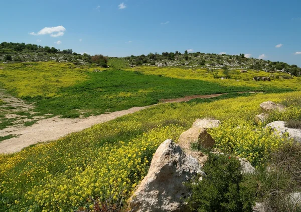 Paisagem mediterrânica colinas na primavera — Fotografia de Stock