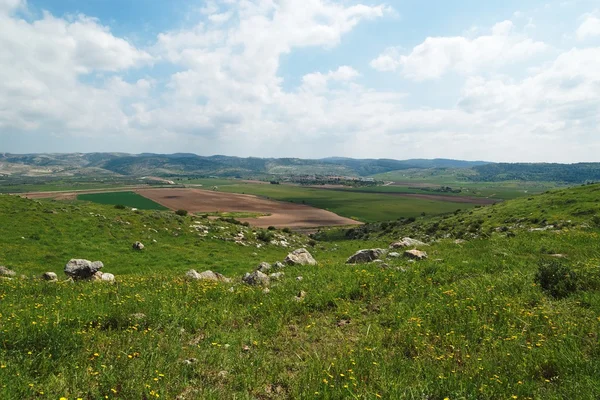 Dolina z pola zieleni i brązu — Zdjęcie stockowe