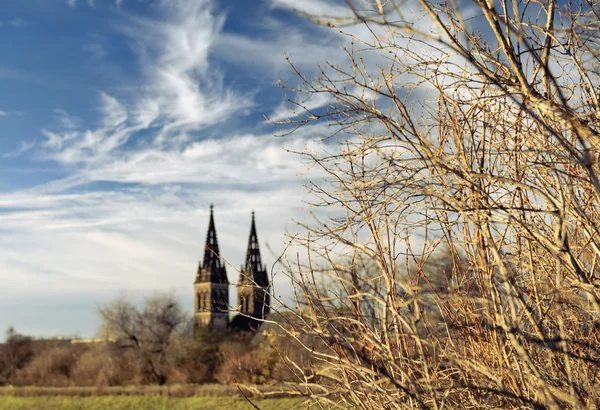 stock image Cathedral in Prague. Vyshegrad. Shallow depth field