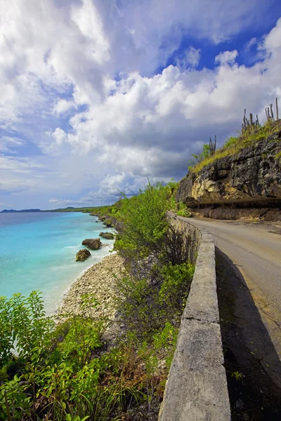 Linia brzegowa Bonaire — Zdjęcie stockowe