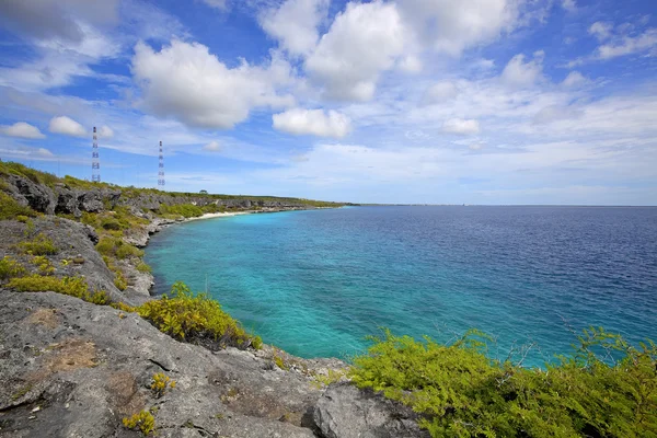 Bonaire берегової лінії — стокове фото