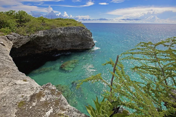 Turquoise Curacao — Stock Photo, Image