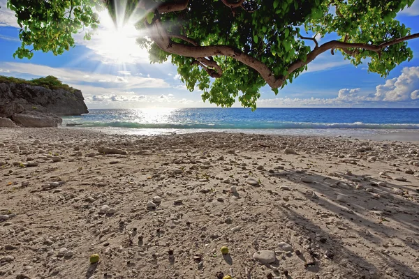 Praia de curaçao — Fotografia de Stock