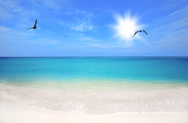 Playa de Boca Grandi —  Fotos de Stock