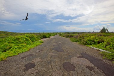 Aruba peyzaj