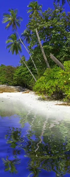 Privat Plażę Perhentian Island Malezja — Zdjęcie stockowe