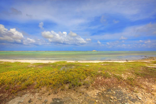 Солтлейк Южном Побережье Острова Бонайр Карибском Море — стоковое фото