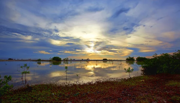 Hermosas Reflexiones Lago Costa Sur Bonaires — Foto de Stock