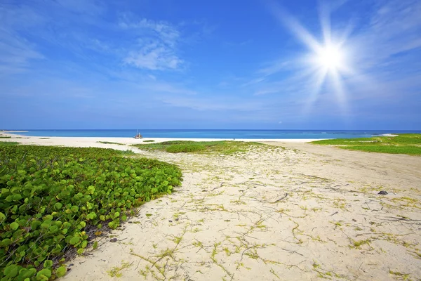Tyrkysové Vody Bílý Písek Pláži Boca Grandi Aruba — Stock fotografie