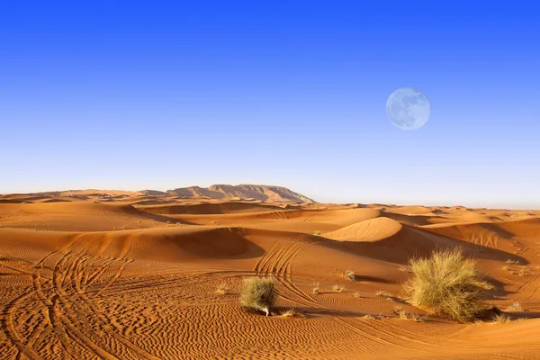 Dubai sand dunes — Stock Photo, Image