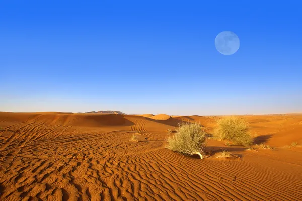 Піщані дюни Дубая — стокове фото