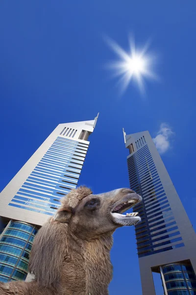 United Arab Emirates — Stock Photo, Image