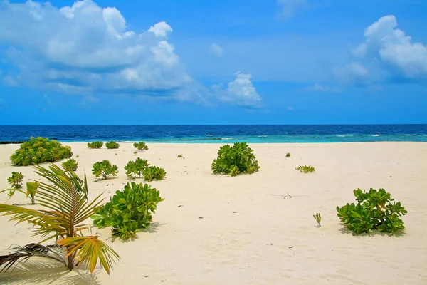 Ilha Meeru — Fotografia de Stock