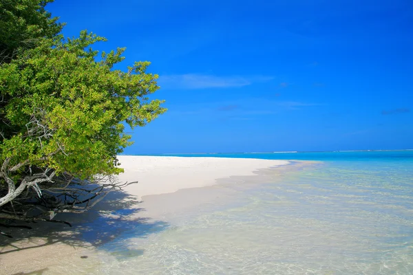 Isola di Meeru — Foto Stock