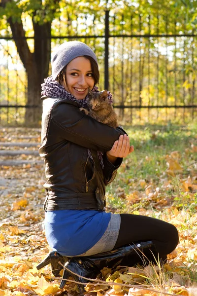 Çekici Esmer Kız Sıcak Sonbahar Günü Parkta Kedi — Stok fotoğraf