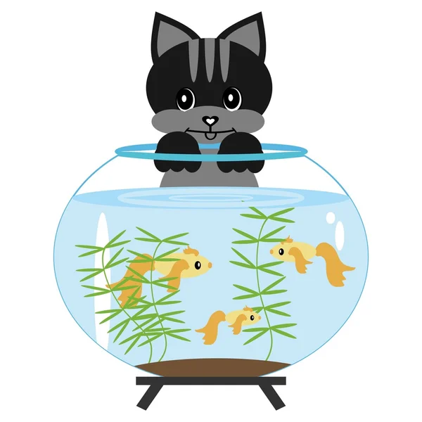 Gato com aquário —  Vetores de Stock