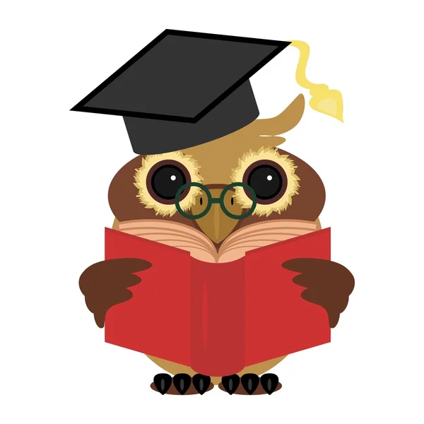 Clever owl with book — Stock Vector