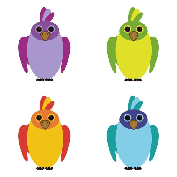 Four parrots on white background — Stock Vector