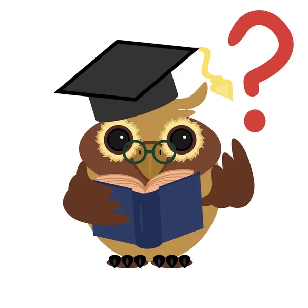 Clever owl with book — Stock Vector