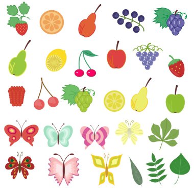 Different nature objects on white clipart