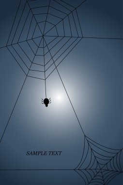 Spiders web clipart